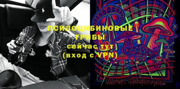 стафф Арсеньев