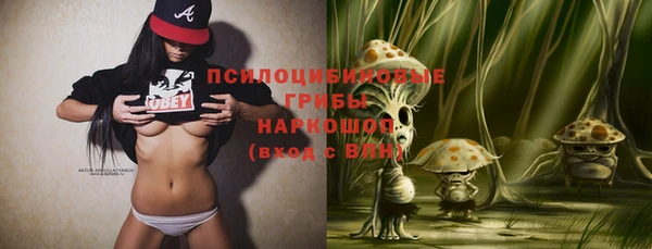 стафф Арсеньев