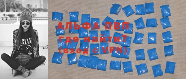 стафф Алексин