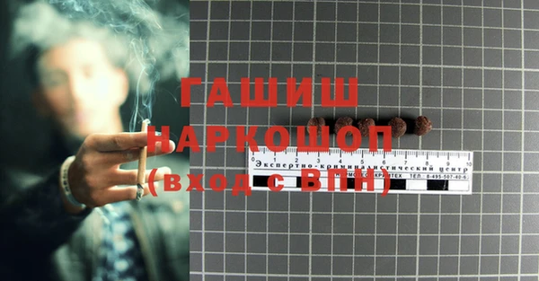 стафф Алексин
