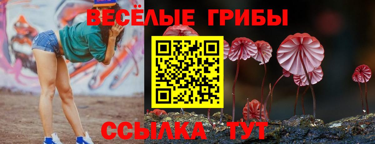 купить наркотики цена  Псилоцибиновые грибы MAGIC MUSHROOMS  Вход с VPN  Галлюциногенные грибы прущие грибы  Петропавловск-Камчатский 